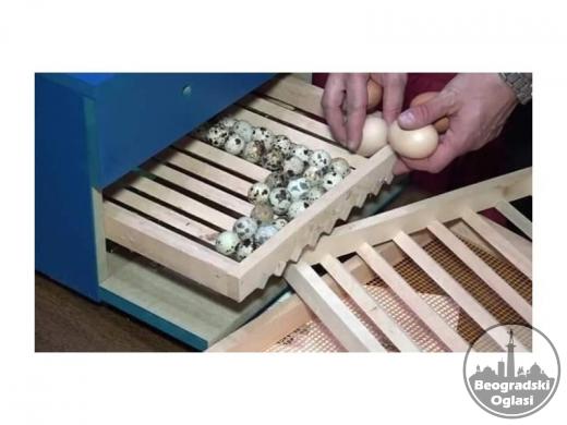 Inkubatori za SVA vrsta jaja