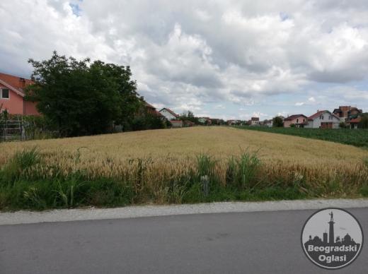 Prodajem plac 43.78ara u ul.Popova Bara Nova 1