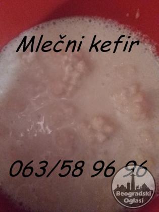 Mlečni kefir-Tibetanska gljiva