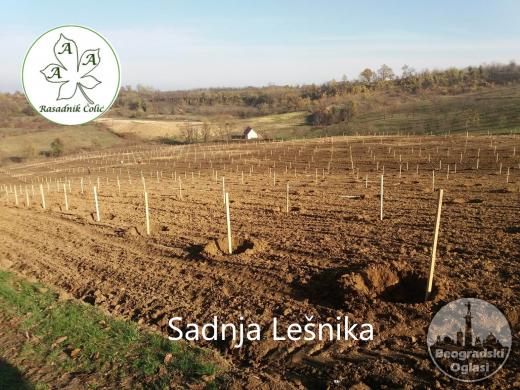 Kako podići kvalitetan Voćnjak i Vinograd ?