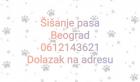 Šišanje pasa Beograd - Dolazak