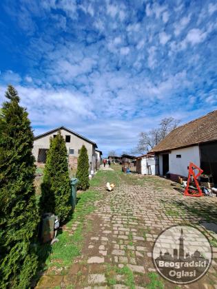 Prodaja kuce u Maradiku