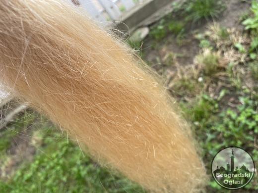 100% prirodna nadogradnja kose na klipse, 50cm ZLATNO PLAVA