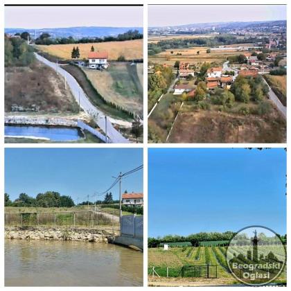 Kuca sa plantazom u blizini Smederevske Palanke