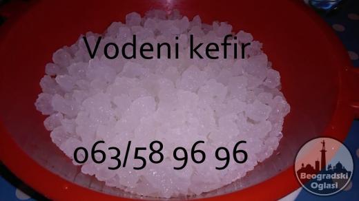 Vodeni kefir Tibicos, Japanski kristali, količina za 2L