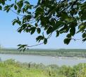Stari Slankamen - Plac na prodaju (Pogled na Dunav)