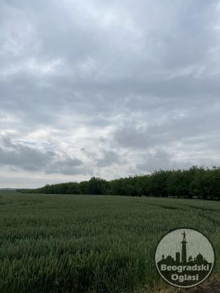 Parcela 2h36a22m2 Surčin 1.900.000eura