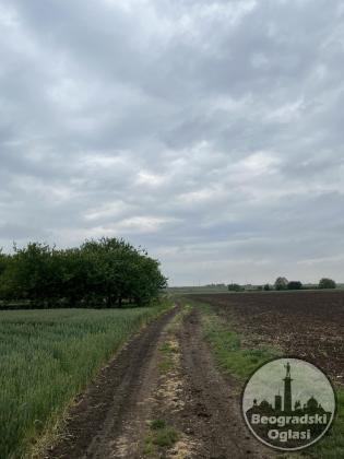 Parcela 2h36a22m2 Surčin 1.900.000eura