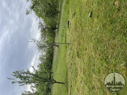 Odrzavanje dvorišta. Pirot i okolina.