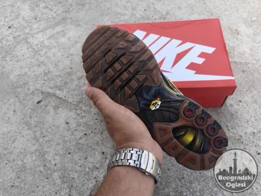 Nike patike Air Max Plus TN Fresh Perspective