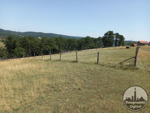 Prodajem plac na Zlatiboru