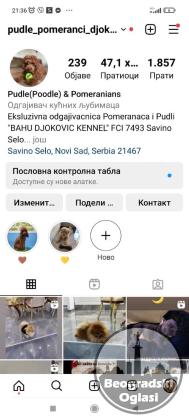 Stenci toy i mini pudle