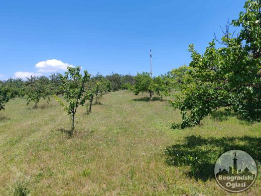 Ritopek parcela 35 ari pogled na Avalu SUNČANO 2500 eur/ar