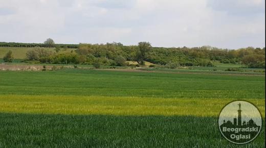 NA PRODAJU POLJOPRIVREDNO ZEMLJIŠTE U RUMI POVRŠINE 1492(+2,69 jutara ukupno 5,28)0 m²