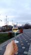 Šljivovica ( nagradjivana )
