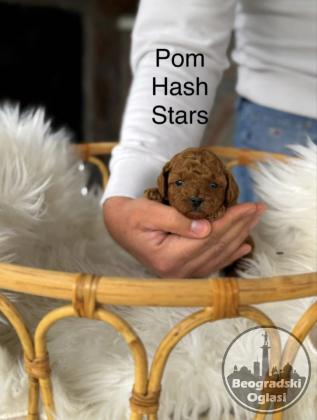 Teddy bear toy PUDLE – malene, prelepe