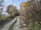 Obrenovac - Piroman njiva 1 ha blizu asvalt i struja