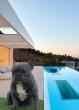 Parenje Blue Micro Extreme Gorilla  French Buldog-Kinez