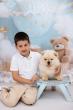 CHOW CHOW zensko stene
