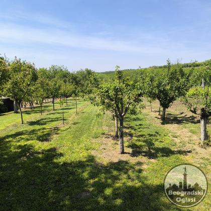 Vinograd sa voćnjakom u Novom Slankamenu